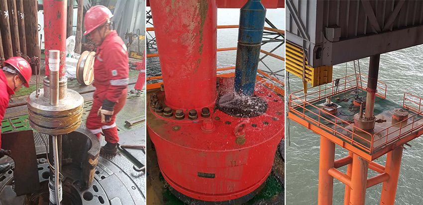 大港海洋平台使用辽河管件采油井口装置