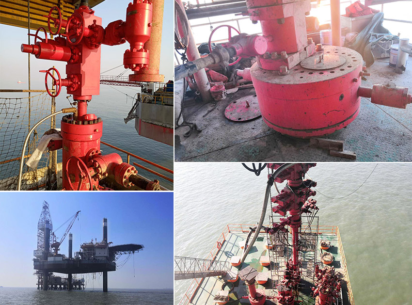 大港海洋平台使用辽河管件采油井口装置